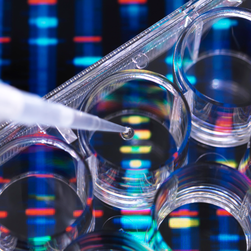 The Human Genome Is the Future of Healthcare