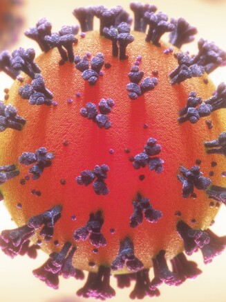 Illustration of Coronavirus molecule