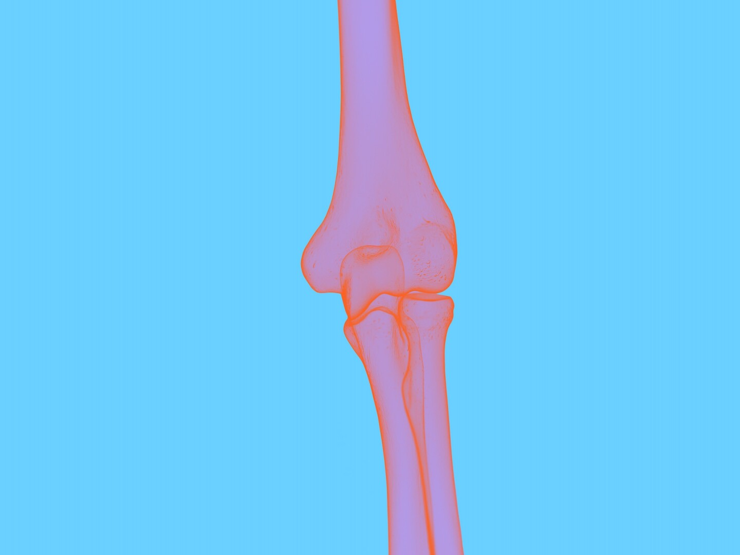 JNJ_BodyIllustration_Interior_Skeletal_ElbowBone_Colorway02