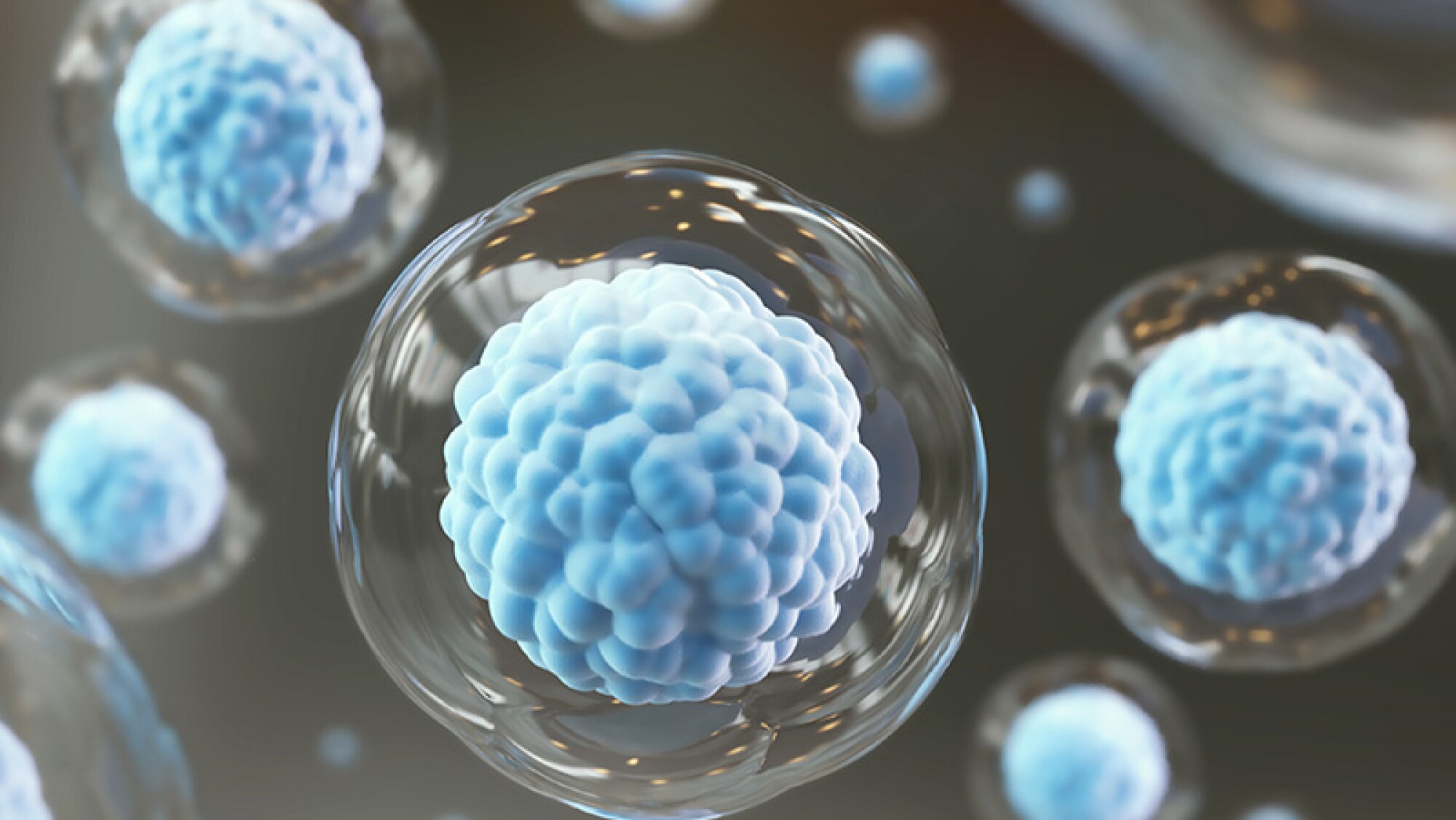 Curing cancer from within: The promise of cell therapy