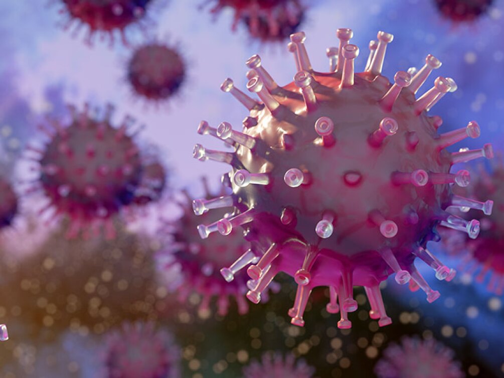 A close-up view of the novel coronavirus