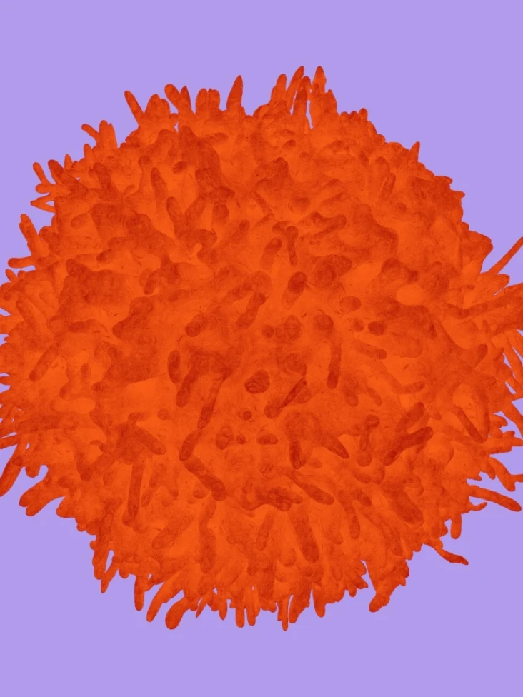 HIV 2.17.00 PM.webp