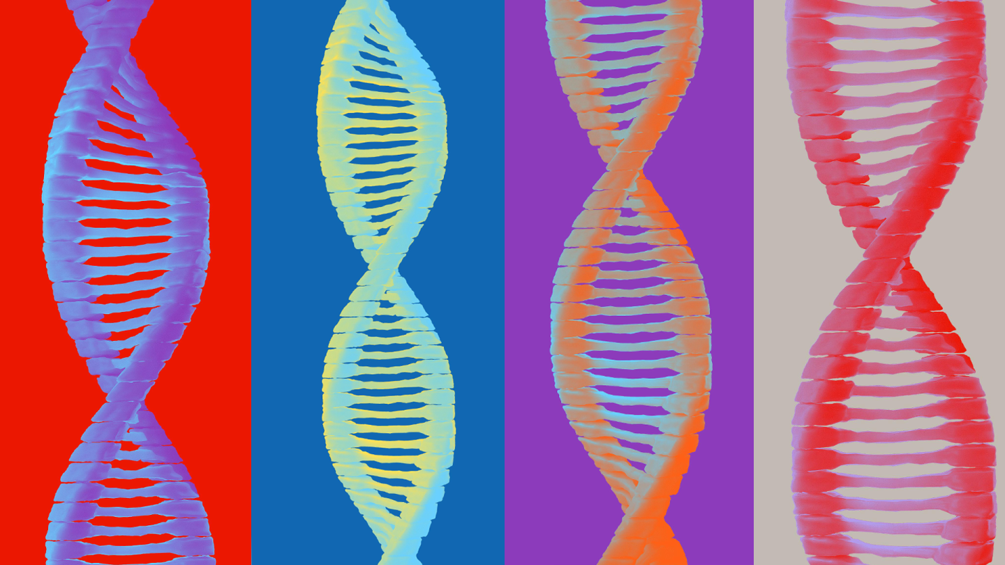 Mutation Hd What is a gene mutation?