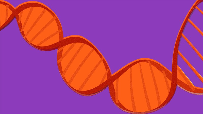 The Human Genome Is the Future of Healthcare