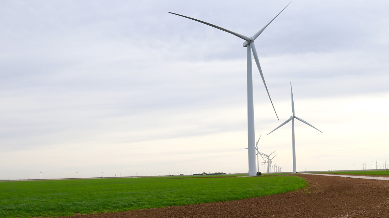Wind turbines in a large field