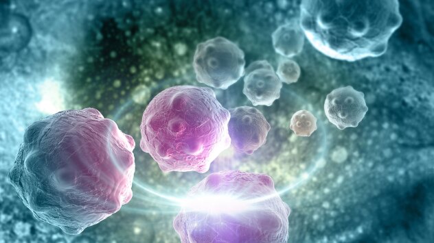 A diagram of cancer cells