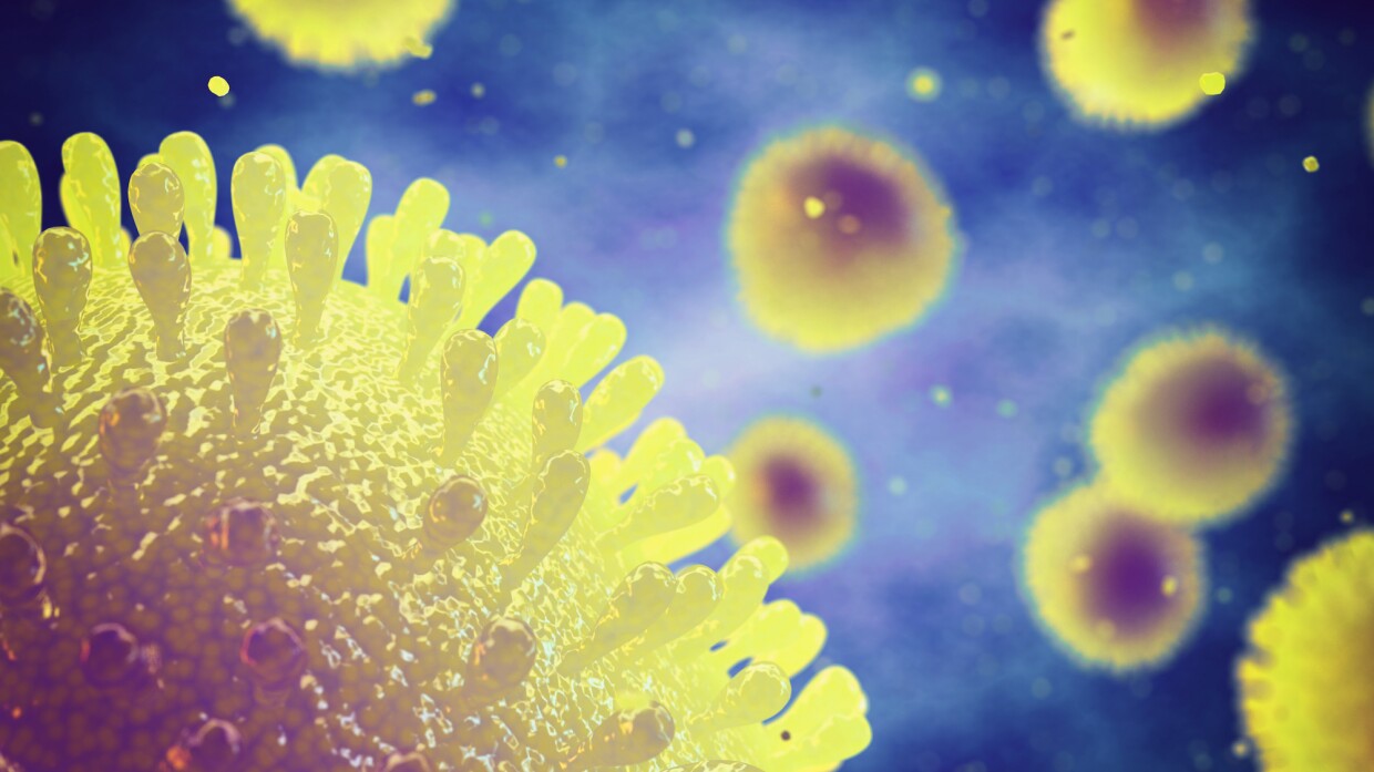 A Microscopic Image of the Human Influenza Virus