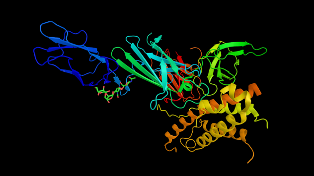 IL-23 protein structures