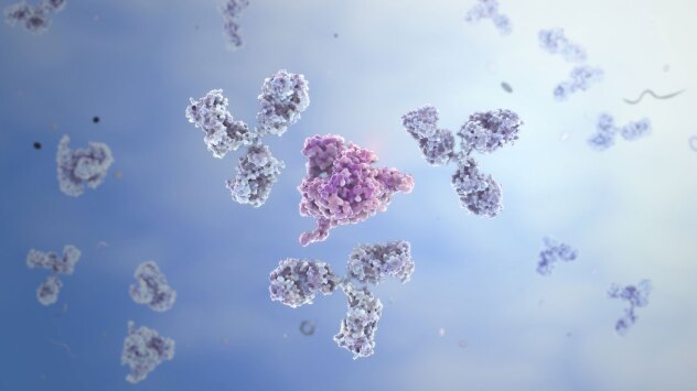 A diagram of antibodies attacking antigens