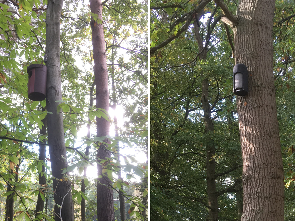 Two photographs of an owl box on a tree and a bat box on a tree