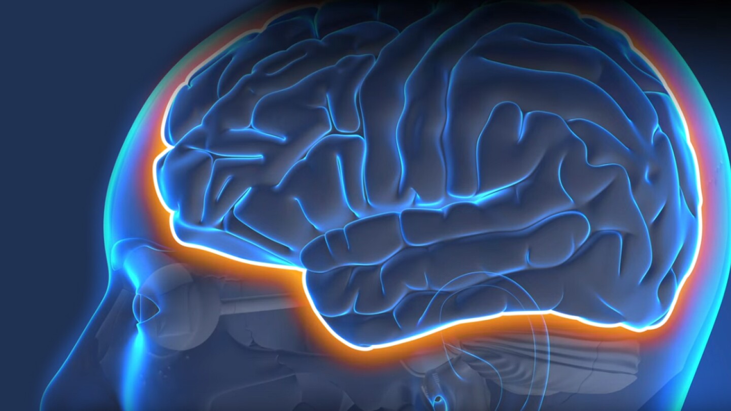 Blue graphic of the human brain surrounded by an orange glow