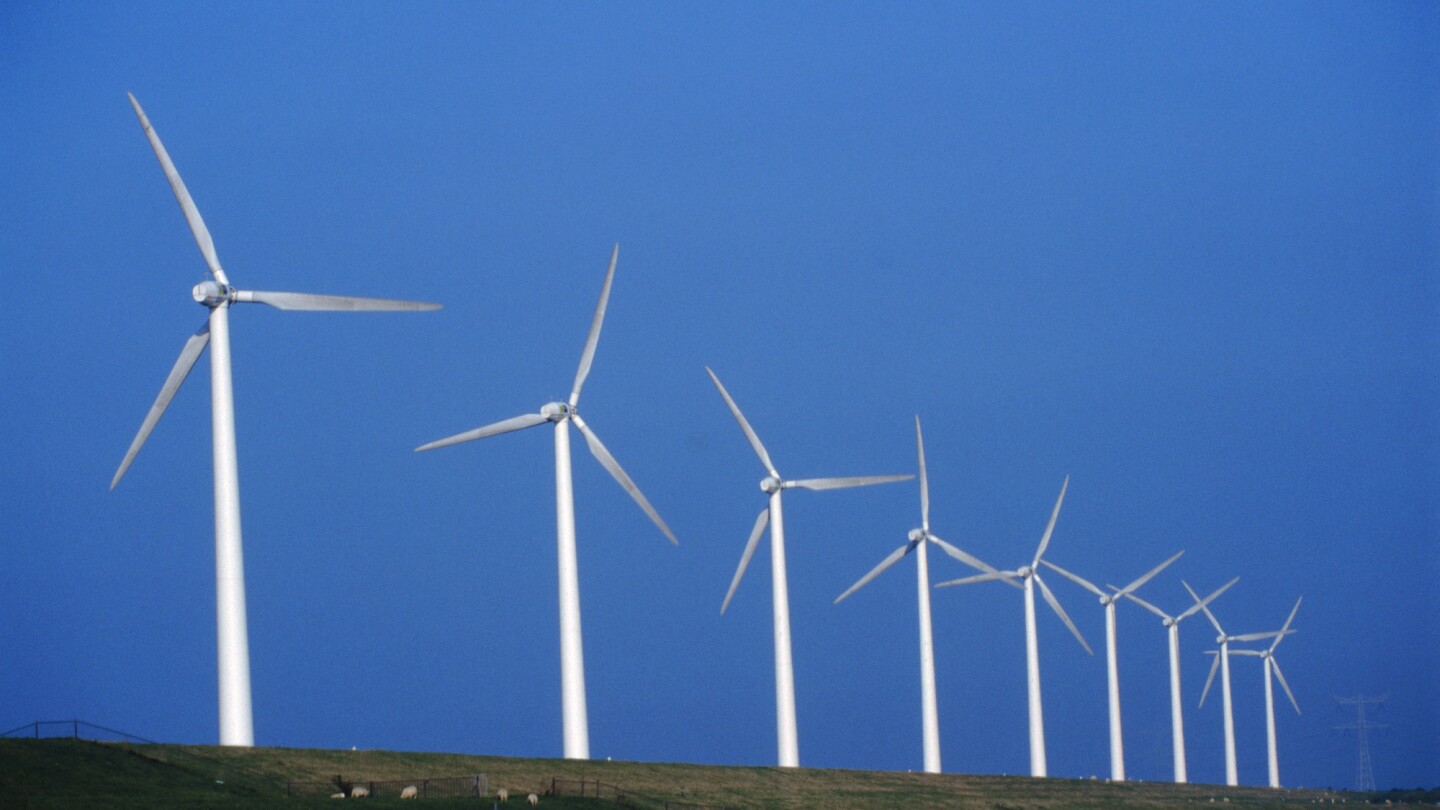 Turbines in a wind farm tower over grazing livestock 