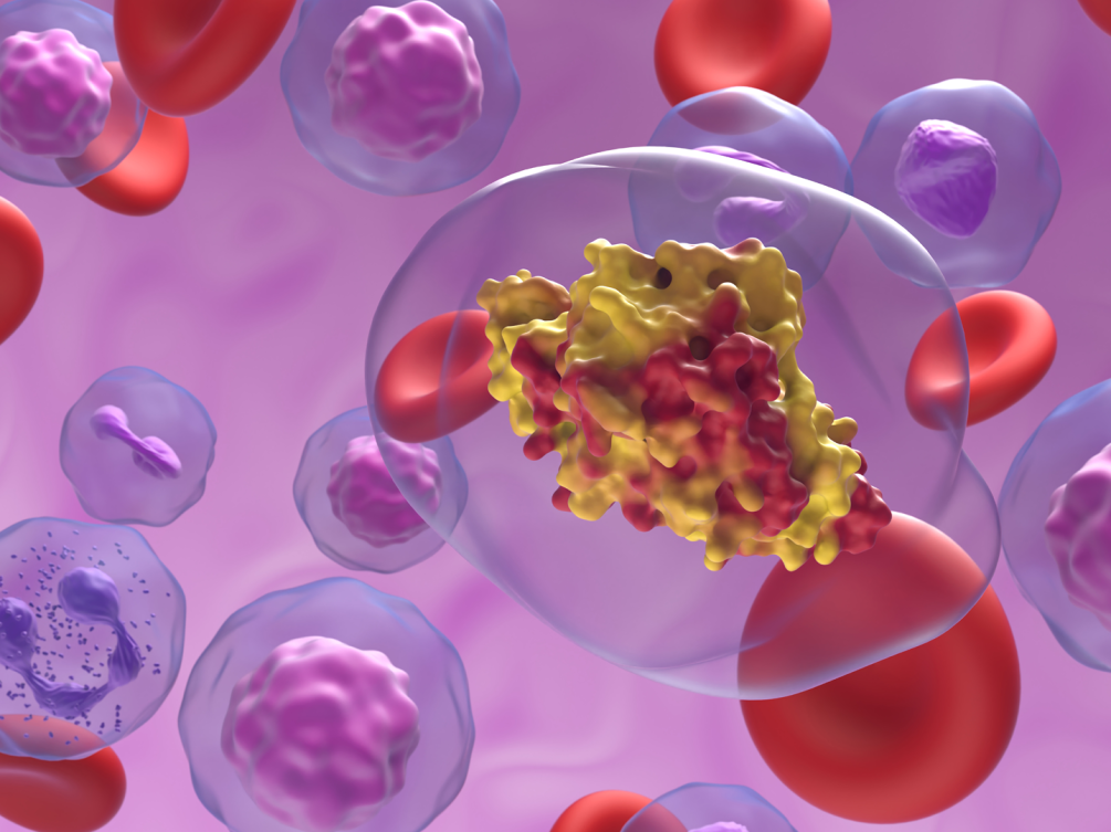 Creatine Inside Inside dermatomyositis, a rare autoimmune disease that attacks the muscles