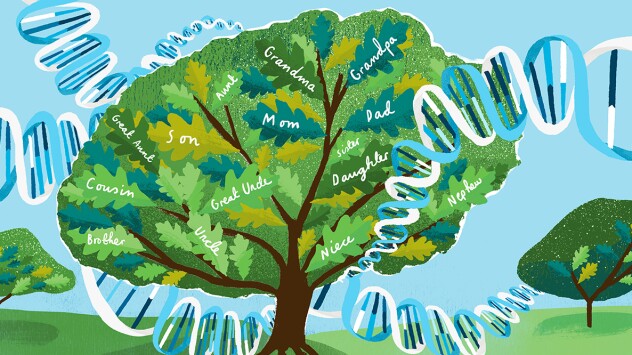 A family tree graphic surrounded by DNA