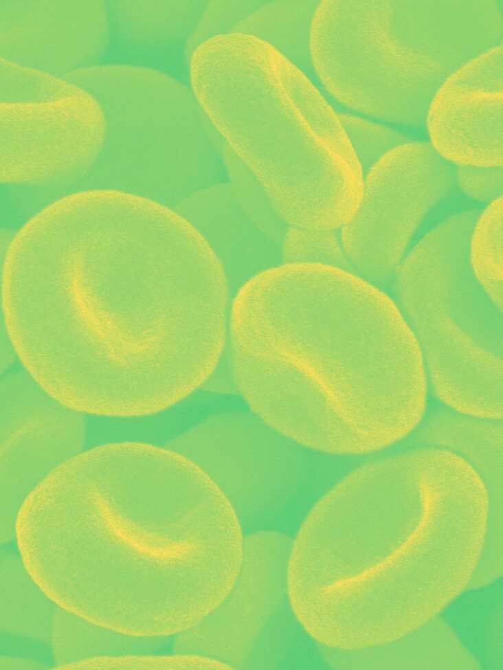 jj-bodyillustration-microscopic-redbloodcells01-colorway02.jpg